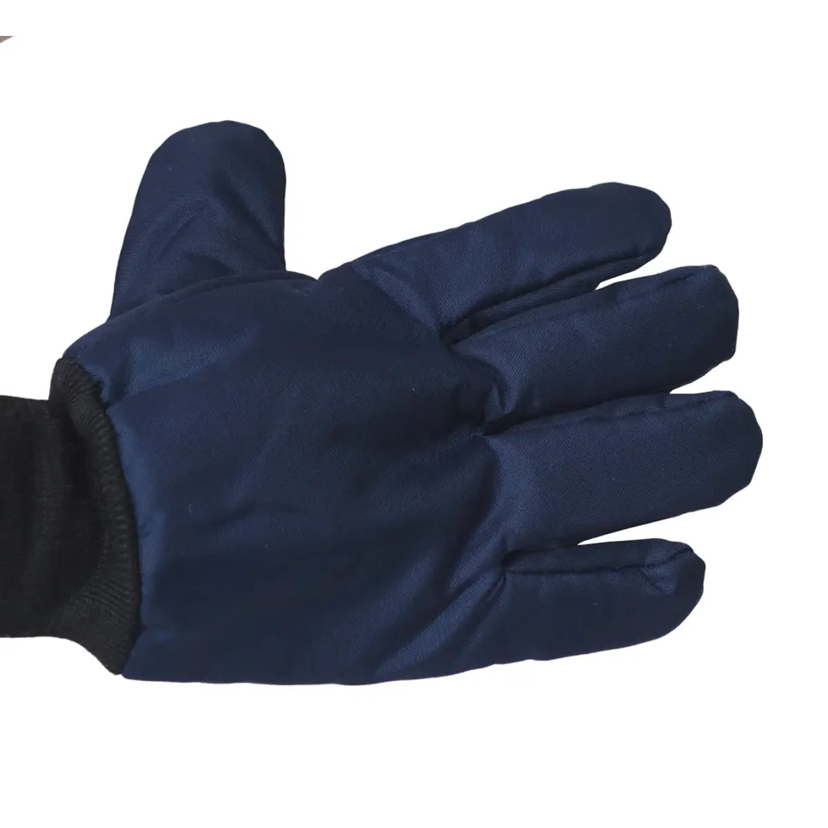 Luva de Nylon Térmica Azul para Câmara Fria G - Maicol