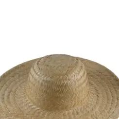 Chapéu De Palha Roceiro Simples-Geral