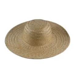 Chapéu De Palha Roceiro Simples-Geral
