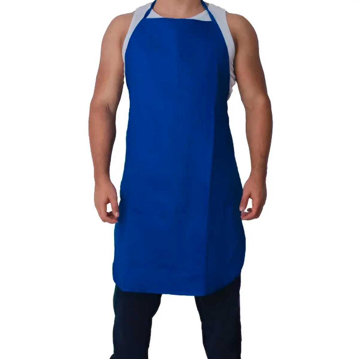 Avental Thermal Térmico 90X60cm Azul Royal - Maicol